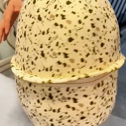 Surprise Dinosaur Egg Plush Toy with Weighted Dinosaur Inside