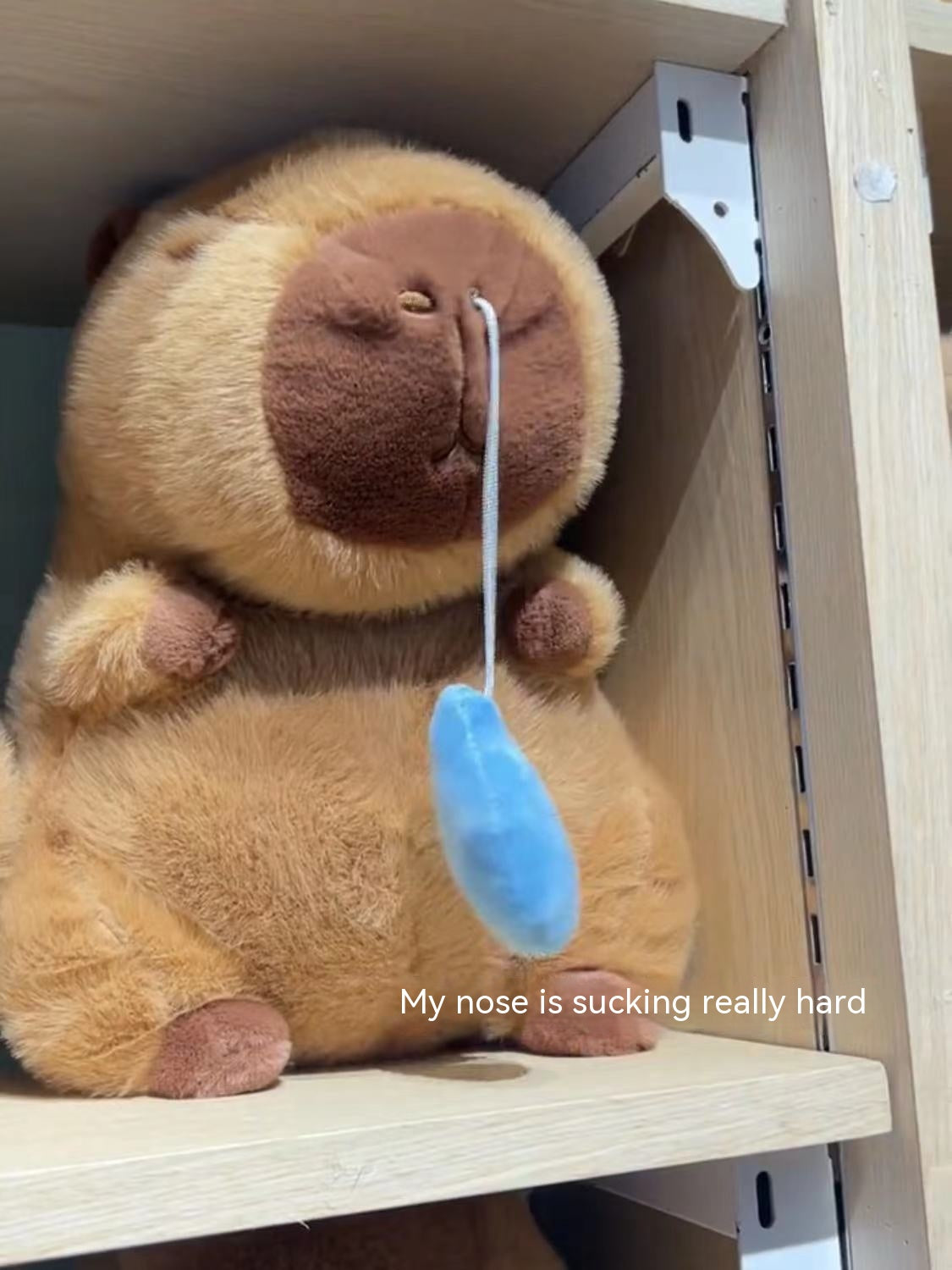 Interactive Capybara Plush Toy with Runny Nose | Cute Gift Idea