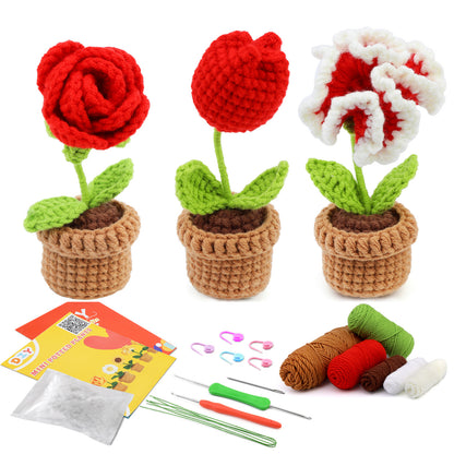 DIY Kit for Crochet Plants - fuzzzz