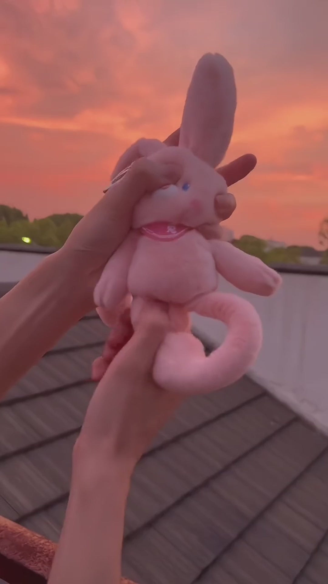 Magical Bunny Plush
