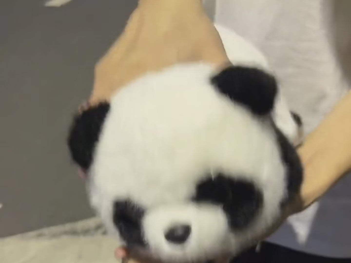 Transformable Panda Plush Toy
